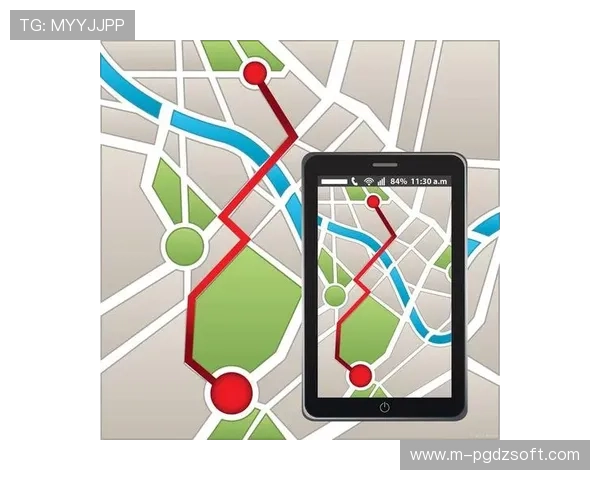 PG导航模拟器常见故障排查与维护方法，确保你的导航体验持续稳定